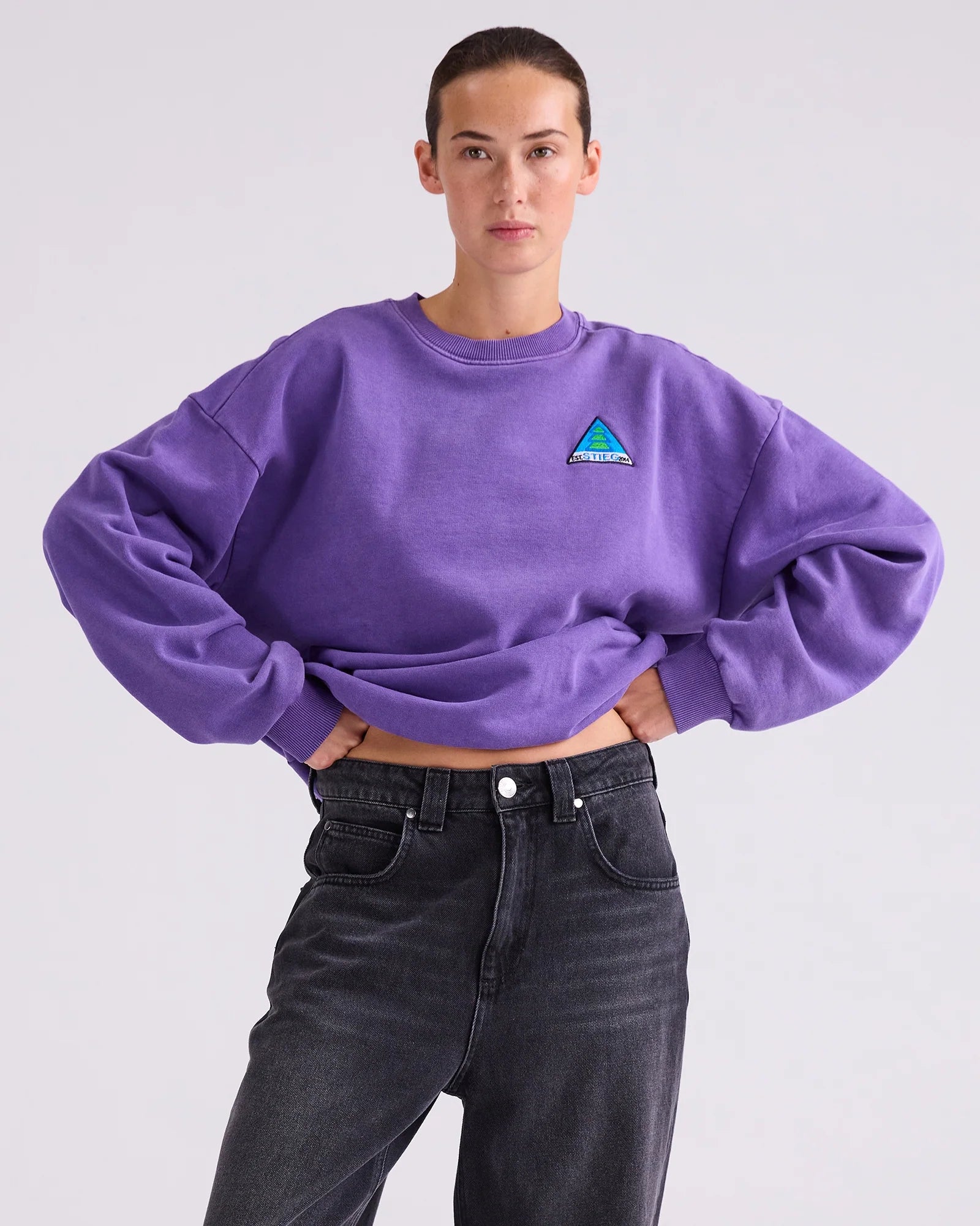 STIEGLITZ CISCO SWEATER – PAARSE OVERSIZED TRUI