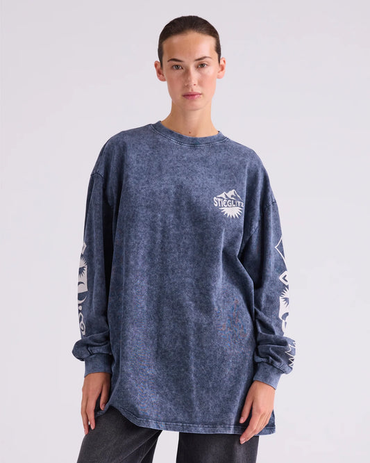 Stieglitz Benjamin Skate Longsleeve Grijs