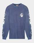 Load image into Gallery viewer, Stieglitz Benjamin Skate Longsleeve Grijs
