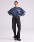 Load image into Gallery viewer, Stieglitz Benjamin Skate Longsleeve Grijs

