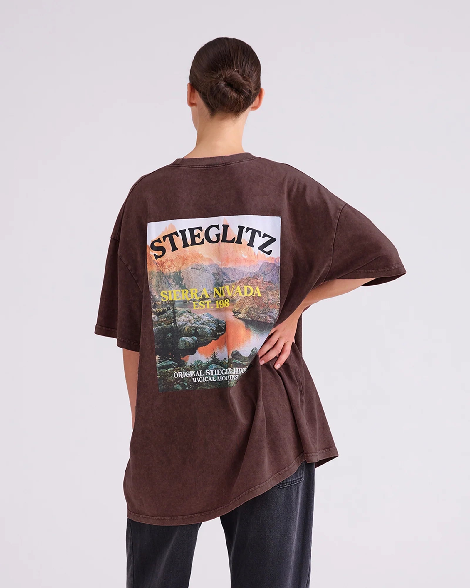 Stieglitz Miquel Tshirt Bruin - Valt Groot