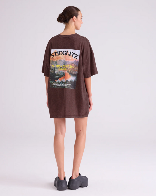 Stieglitz Miquel Tshirt Bruin - Valt Groot
