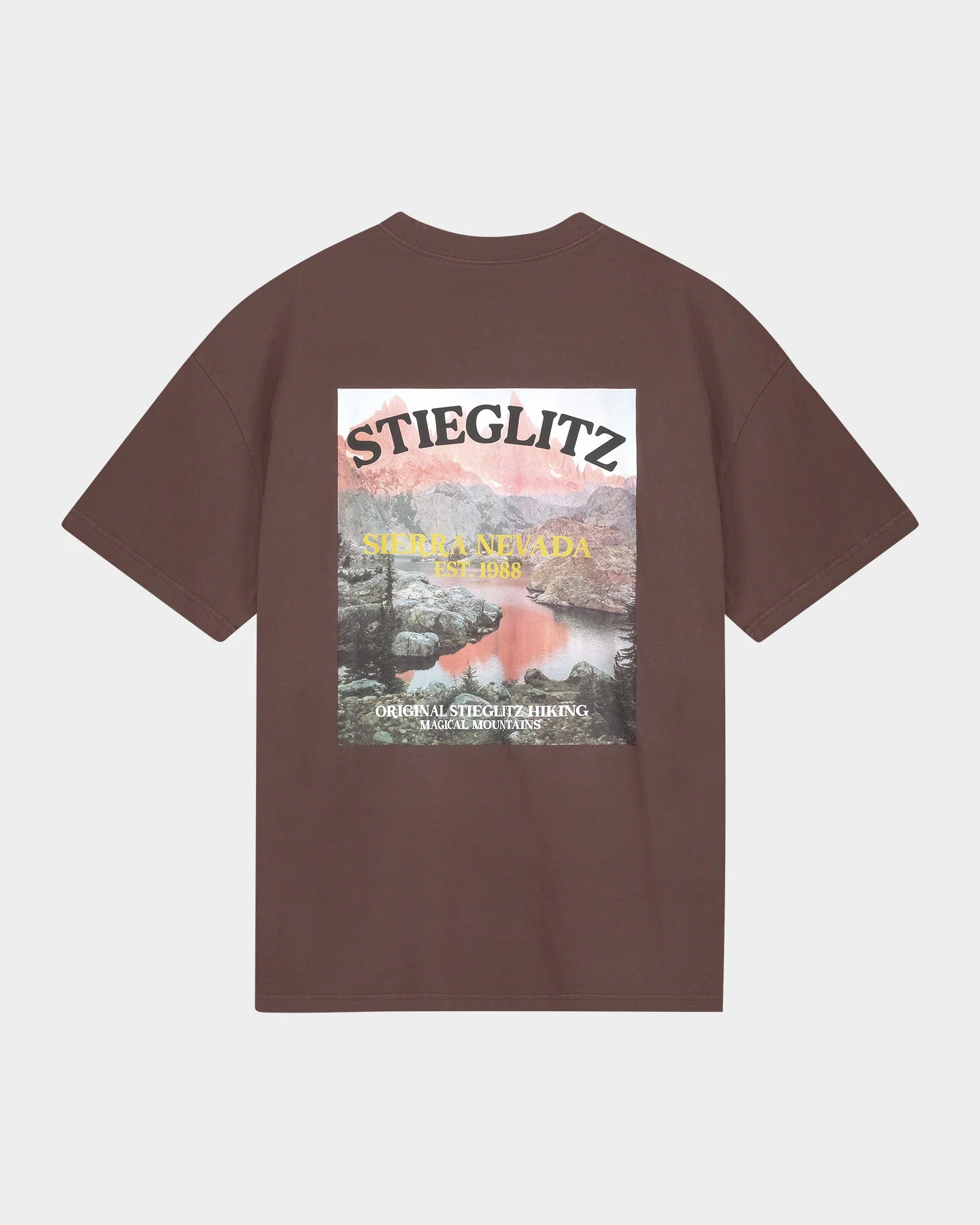 Stieglitz Miquel Tshirt Bruin - Valt Groot
