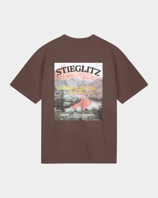 Stieglitz Miquel Tshirt Bruin - Valt Groot